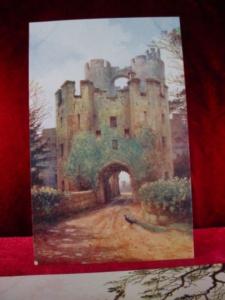 Lot Antique 1920s POSTCARDS Warwick Castle ENGLAND  