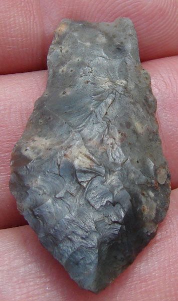 Windust – Spedis Fishtail Dart, Bluish Gray Petrified Palmwood 