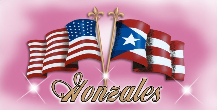 US PUERTO RICAN FLAG DECAL BUMPER STICKER NAME XL 4x8  