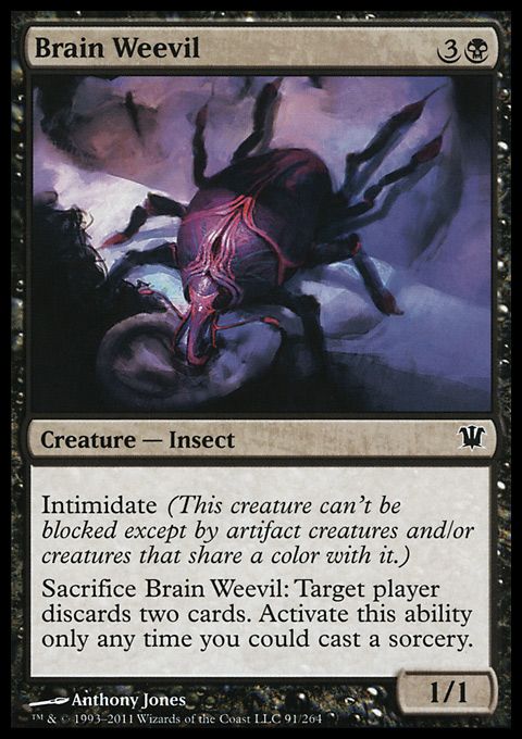 Brain Weevil