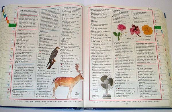 Dk Merriam Webster Childrens Dictionary (2000, Hard  