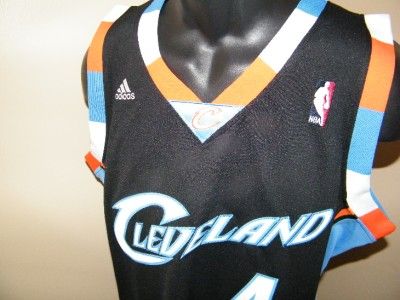 NEW Antawn Jamison #4 CLEVELAND CAVS 2XLarge REV 30 SWINGMAN Adidas 