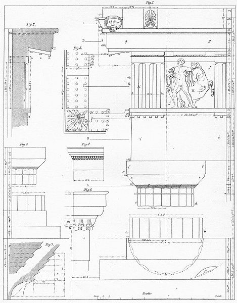 Caption below picture Architecture II. Doric order   details