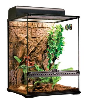 EXO TERRA TERRARIUM RAINFOREST MAYAN HABITAT KIT PT2653  