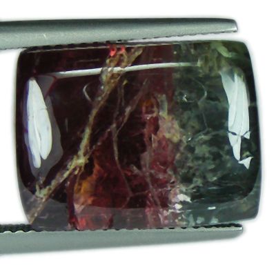 30.92 CT BI COLOR WATERMELON TOURMALINE TOP COLOR CAB  