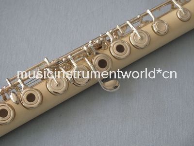 Rare Material Flute Silver Plated VERY NICE CUSTOM  