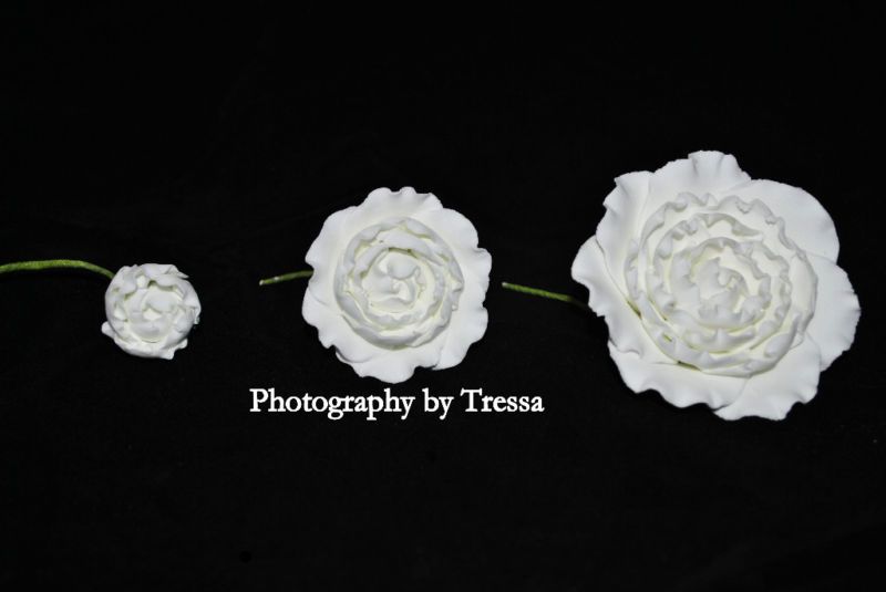 Gumpaste Ranunculus Buds Flower Blossoms Sugar Fondant♥  