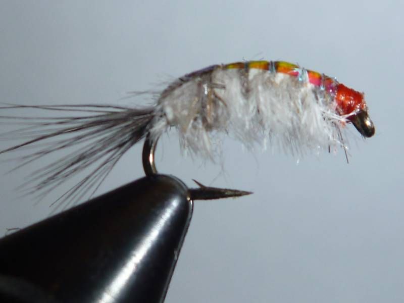 RAY CHARLES SCUD SOW BUG Colors Guide Fly sz 14  