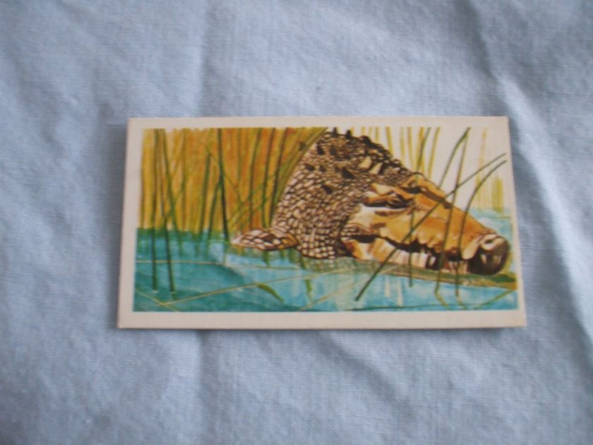   TEA CARDSVANISHING WILDLIFE 1978BUY INDIVIDUALLY NOs 21 40  