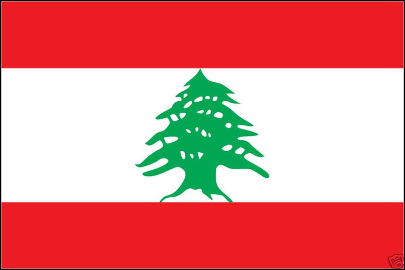 Lebanon Lebanese Flag T Shirt 8 Sizes 3 Colors  