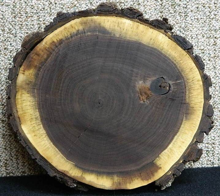   Rustic Center Piece Candle Holder Live Edge Log Slice 6470  