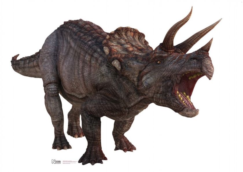 TRICERATOPS Dinosaur Lfsz Cardboard Standup Cutout Prop  