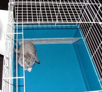 LARGE INDOOR RABBIT GUINEA PIG CAGE RAMBLER 80CM CAGE  