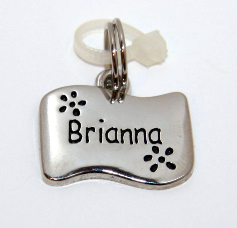 Brianna Name Charm / Necklace / Keychain Ganz  