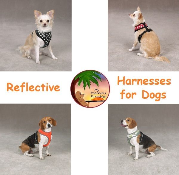 Glow In The Dark & Reflective Harnesses for Dogs  