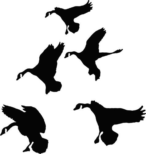 Ducks In Flight Waterfowl Hunting Decals Pro Grade Vinyl Easy To Apply 